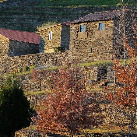 Cardenha Do Douro Vila Mesão Frio Quarto foto