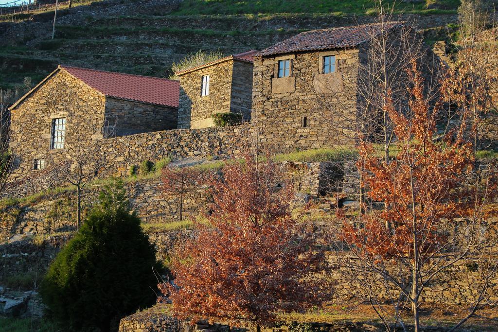 Cardenha Do Douro Vila Mesão Frio Quarto foto
